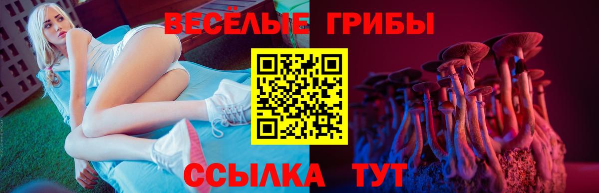 Псилоцибиновые грибы MAGIC MUSHROOMS  Галлюциногенные грибы Cubensis  Вход с VPN  Обь 